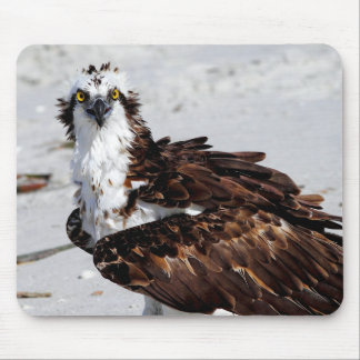 Mousepad Tapete do rato do Osprey