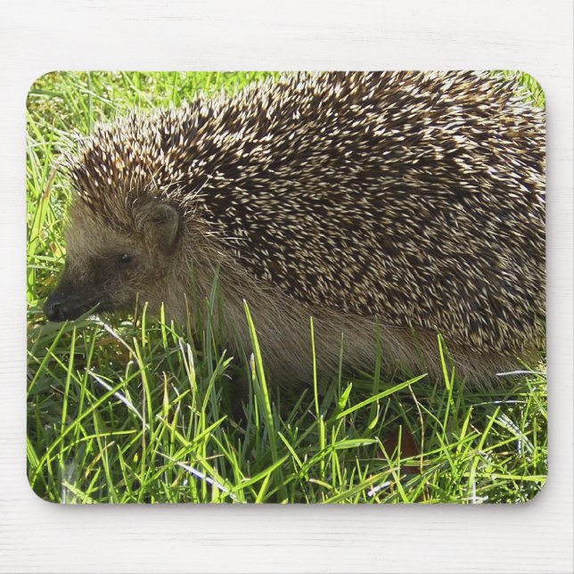 Mousepad Tapete do rato do ouriço (Frente)