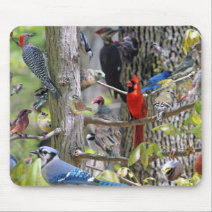 Mousepad Tapete do rato do pássaro do quintal