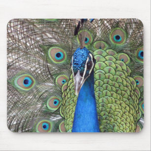 Mousepad Tapete do rato do pavão