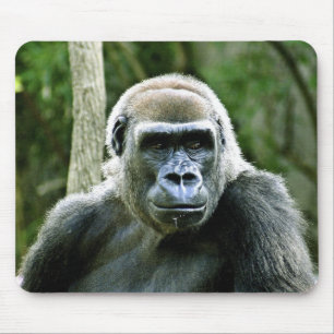 Mousepad Tapete do rato do perfil do gorila