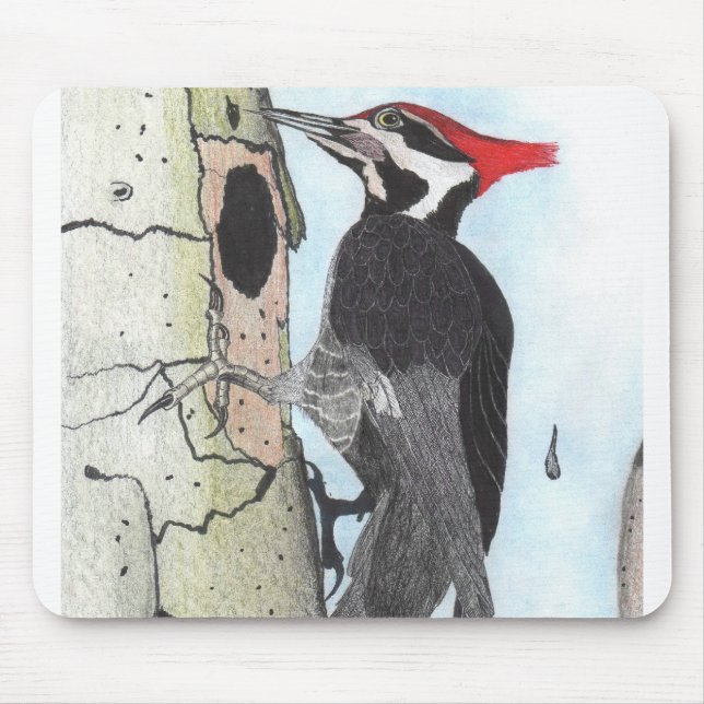 Mousepad Tapete do rato do pica-pau de Pileated (Frente)