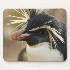 Mousepad Tapete do rato do pinguim de Rockhopper