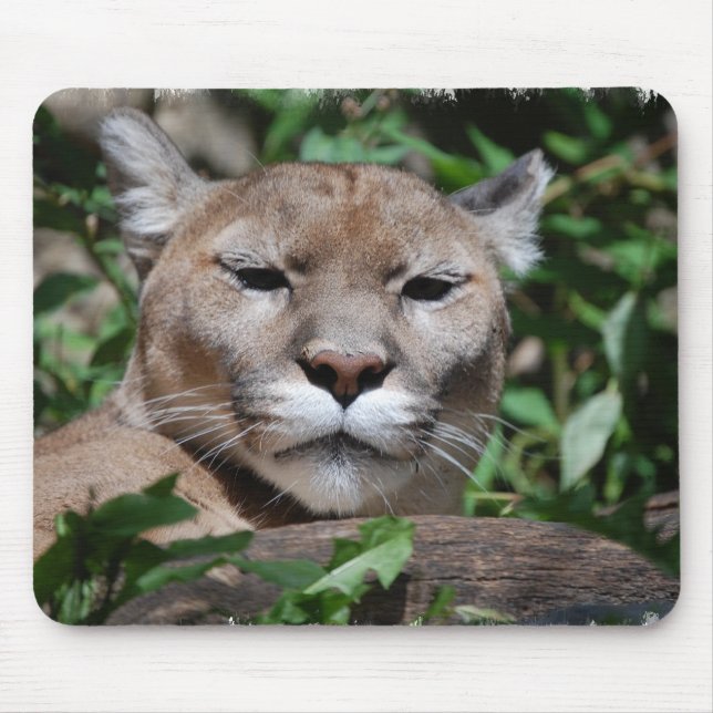 Mousepad Tapete do rato do predador do puma (Frente)