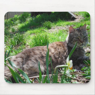 Mousepad Tapete do rato do racum de Maine