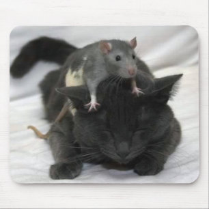 Mousepad Tapete do rato do rato e do gato