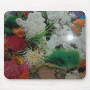 Mousepad Tapete do rato do recife