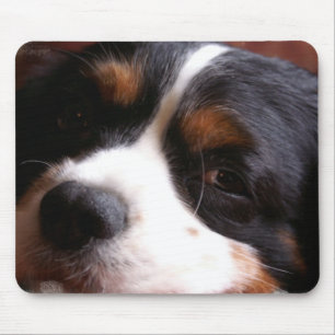 Mousepad Tapete do rato do rei Charles Cavalier Spaniel