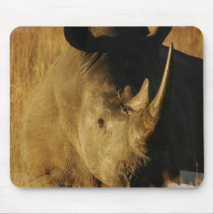 Mousepad Tapete do rato do rinoceronte