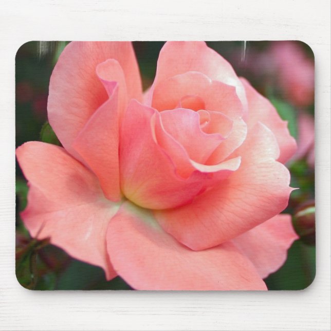 Mousepad Tapete do rato do rosa do rosa (Frente)