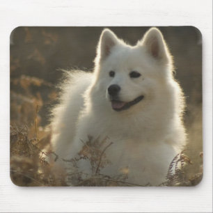 Mousepad Tapete do rato do Samoyed