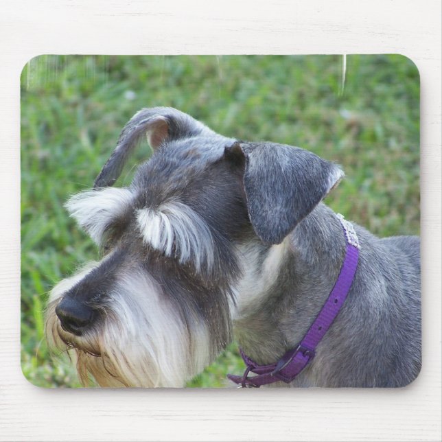 Mousepad Tapete do rato do Schnauzer (Frente)