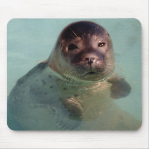 Mousepad Tapete do rato do selo de porto