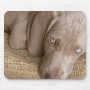 Mousepad Tapete do rato do sono Weimaraner