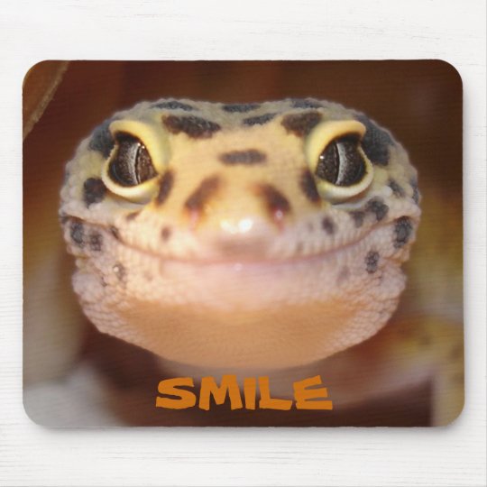 leopard gecko moletom com capuz