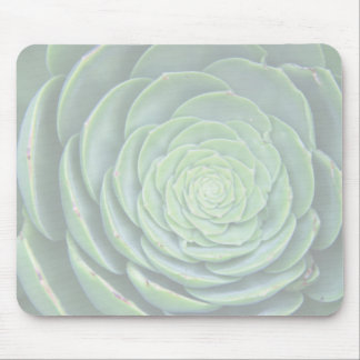 Mousepad Tapete do rato do succulent do zen