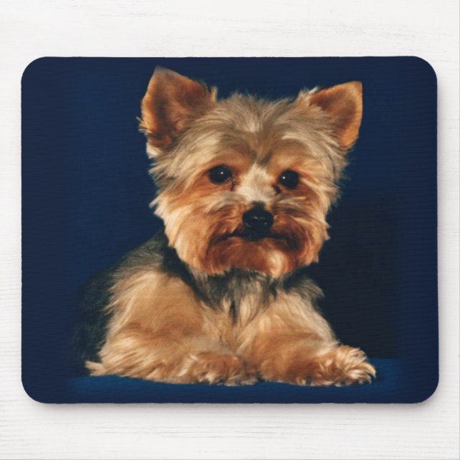 Mousepad tapete do rato do yorkie (Frente)