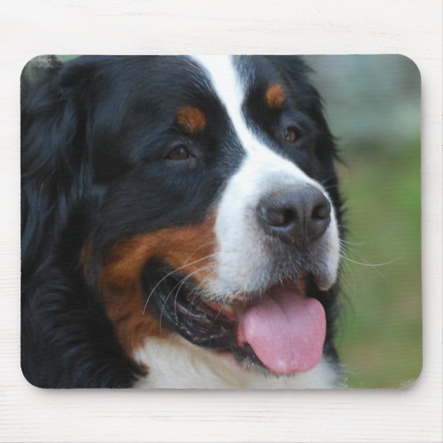 Mousepad Tapete do rato doce de Bernese (Frente)
