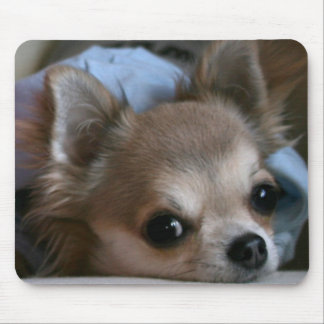 Mousepad Tapete do rato doce do filhote de cachorro