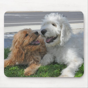 Mousepad Tapete do rato dos amigos de Goldendoodle