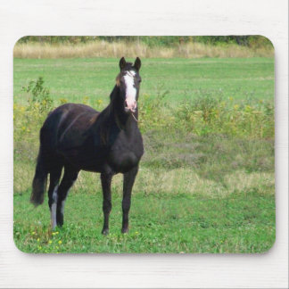 Mousepad Tapete do rato dos beijos