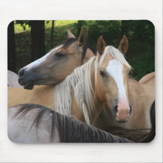 Mousepad Tapete do rato dos cavalos