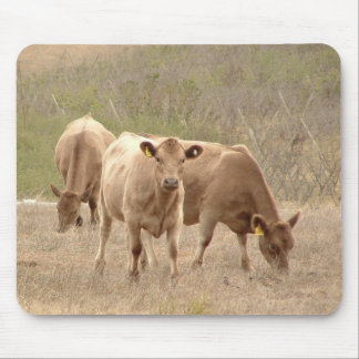 Mousepad tapete do rato dos cinzas de Murray