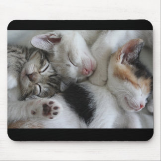 Mousepad Tapete do rato dos gatinhos do sono