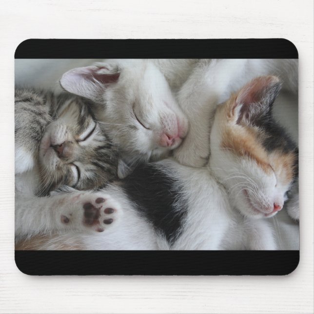 Mousepad Tapete do rato dos gatinhos do sono (Frente)
