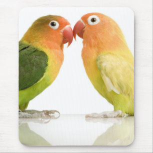 Mousepad Tapete do rato dos pássaros do amor