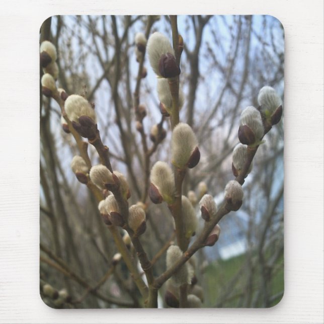 Mousepad Tapete do rato dos salgueiros de bichano (Frente)