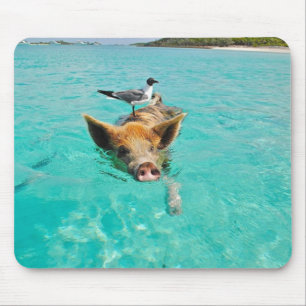 Mousepad Tapete do rato engraçado da natação do porco