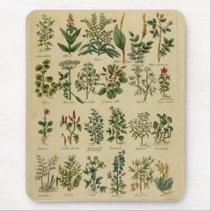 Mousepad Tapete do rato erval do vintage