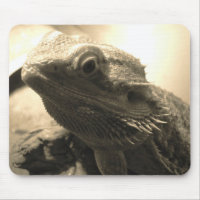 Tapete do rato farpado do dragão