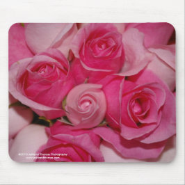 Mousepad Tapete do rato fúcsia dos rosas