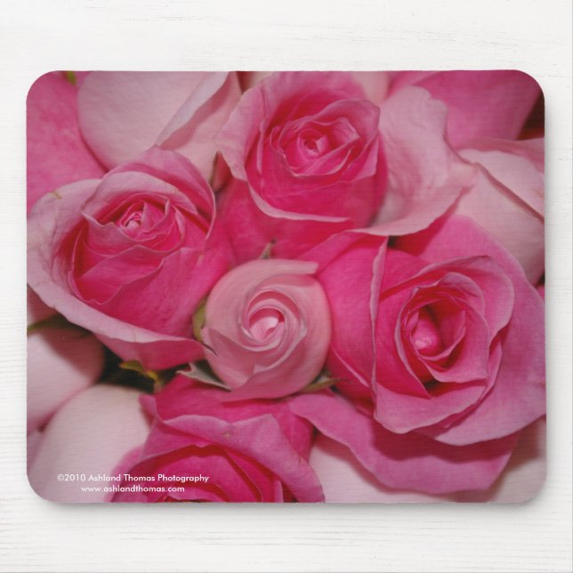 Mousepad Tapete do rato fúcsia dos rosas (Frente)