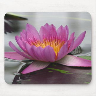 Mousepad Tapete do rato gigante de Lotus