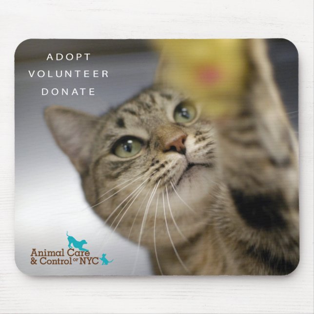 Mousepad Tapete do rato "hora para o jogo " (Frente)