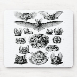 Mousepad Tapete do rato impressionante do bastão do vintage