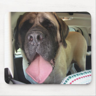 Mousepad Tapete do rato inglês velho do Mastiff
