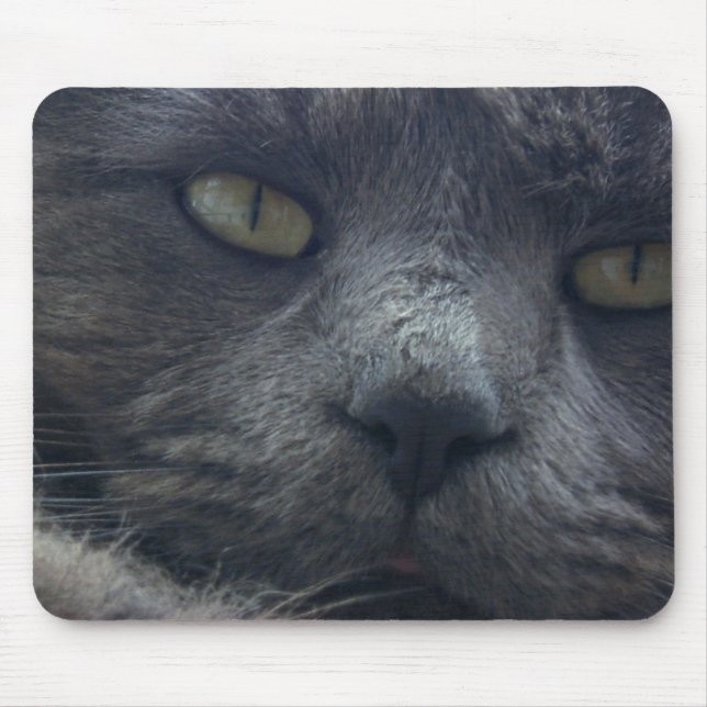 Mousepad Tapete do rato legal da cara do gato (Frente)