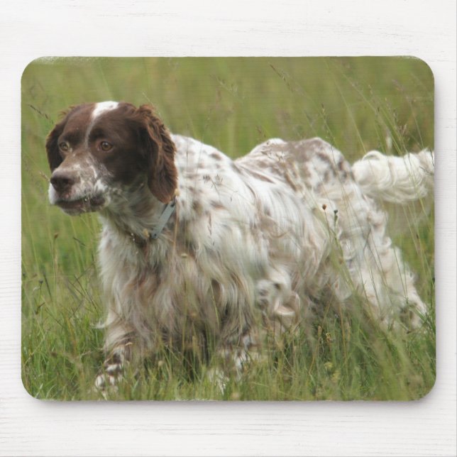 Mousepad Tapete do rato manchado do cão do setter inglês (Frente)