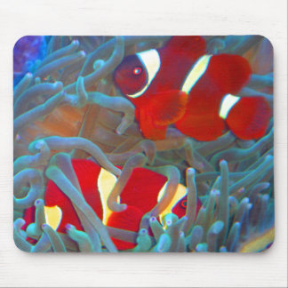 Mousepad Tapete do rato marrom de Clownfish