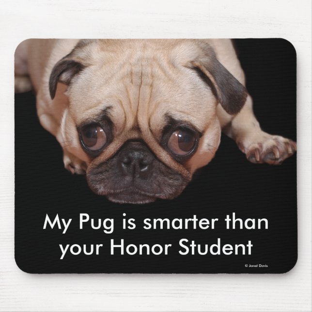 Mousepad Tapete do rato: Meu Pug é mais esperto… (Frente)