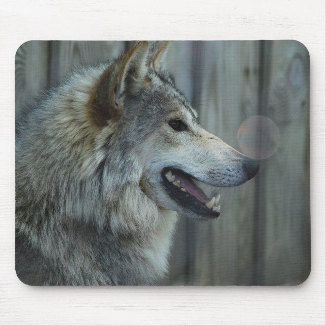 Mousepad Tapete do rato mexicano do lobo (Frente)