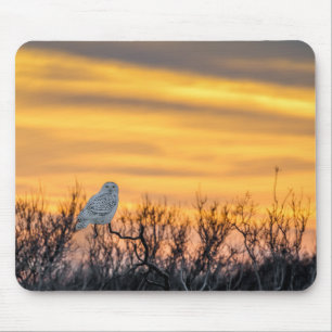 Mousepad Tapete do rato nevado do por do sol da coruja