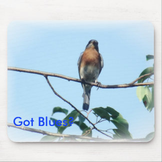 Mousepad Tapete do rato obtido dos azuis