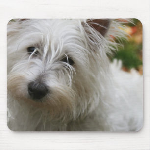 Mousepad Tapete do rato ocidental de Terrier das montanhas
