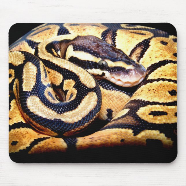 Mousepad Tapete do rato Pastel da bola (Frente)