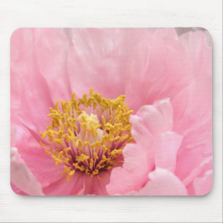 Mousepad Tapete do rato: Peônia cor-de-rosa da árvore
